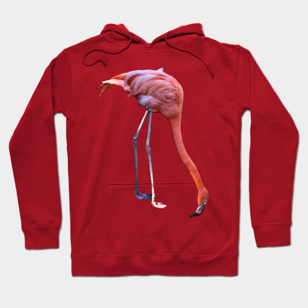 Pink Flamingo Mirage Hoodie by RoxanneG